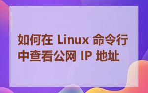 如何在 Linux 命令行中查看公网 IP 地址