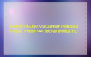 如何利用IP地址和MAC地址转换进行网络流量分析和监控_IP地址和MAC地址转换的原理是什么