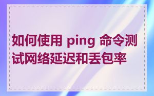 如何使用 ping 命令测试网络延迟和丢包率