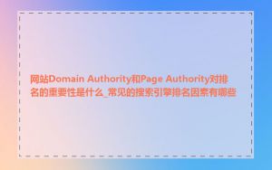 网站Domain Authority和Page Authority对排名的重要性是什么_常见的搜索引擎排名因素有哪些