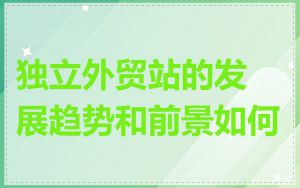 独立外贸站的发展趋势和前景如何