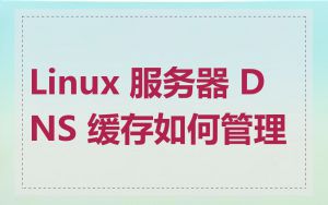 Linux 服务器 DNS 缓存如何管理