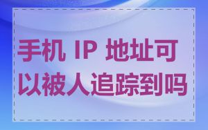 手机 IP 地址可以被人追踪到吗