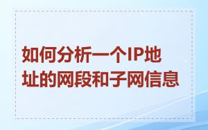 如何分析一个IP地址的网段和子网信息