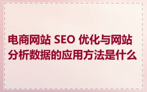 电商网站 SEO 优化与网站分析数据的应用方法是什么