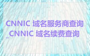 CNNIC 域名服务商查询_CNNIC 域名续费查询