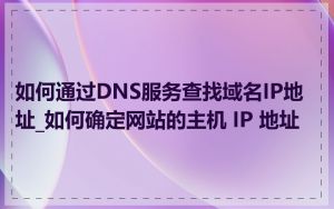 如何通过DNS服务查找域名IP地址_如何确定网站的主机 IP 地址