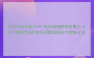 如何利用视频 SEO 提高网站的搜索排名_SEO 视频优化的常见问题及解决方案是什么