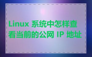 Linux 系统中怎样查看当前的公网 IP 地址