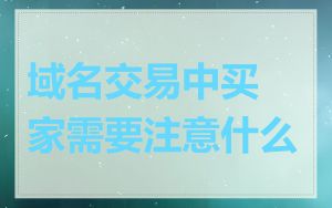 域名交易中买家需要注意什么