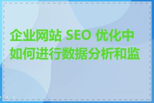 企业网站 SEO 优化中如何进行数据分析和监控