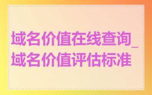 域名价值在线查询_域名价值评估标准