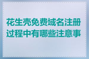 花生壳免费域名注册过程中有哪些注意事项