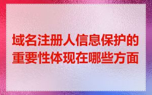 域名注册人信息保护的重要性体现在哪些方面