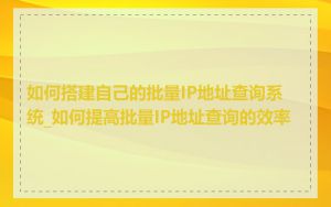 如何搭建自己的批量IP地址查询系统_如何提高批量IP地址查询的效率