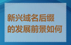 新兴域名后缀的发展前景如何