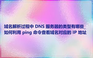 域名解析过程中 DNS 服务器的类型有哪些_如何利用 ping 命令查看域名对应的 IP 地址