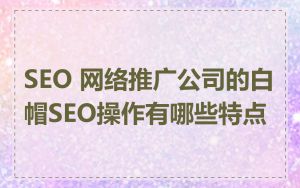 SEO 网络推广公司的白帽SEO操作有哪些特点