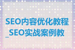 SEO内容优化教程_SEO实战案例教程