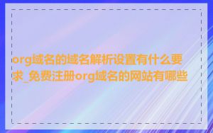 org域名的域名解析设置有什么要求_免费注册org域名的网站有哪些