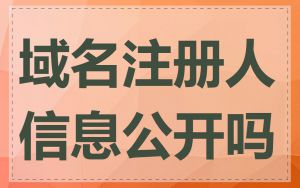 域名注册人信息公开吗