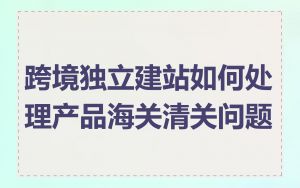 跨境独立建站如何处理产品海关清关问题