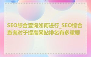 SEO综合查询如何进行_SEO综合查询对于提高网站排名有多重要