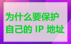 为什么要保护自己的 IP 地址