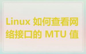 Linux 如何查看网络接口的 MTU 值