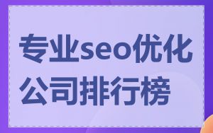 专业seo优化公司排行榜