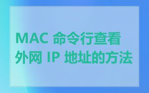 MAC 命令行查看外网 IP 地址的方法