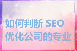 如何判断 SEO 优化公司的专业性