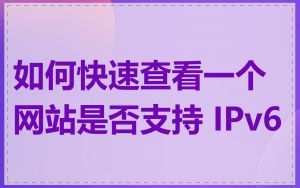 如何快速查看一个网站是否支持 IPv6