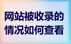 网站被收录的情况如何查看