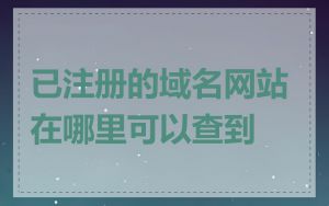 已注册的域名网站在哪里可以查到