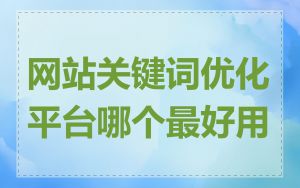 网站关键词优化平台哪个最好用