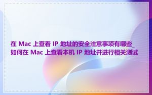 在 Mac 上查看 IP 地址的安全注意事项有哪些_如何在 Mac 上查看本机 IP 地址并进行相关测试