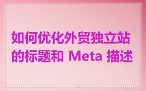 如何优化外贸独立站的标题和 Meta 描述