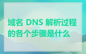 域名 DNS 解析过程的各个步骤是什么