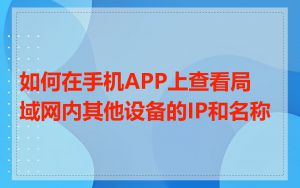 如何在手机APP上查看局域网内其他设备的IP和名称