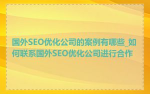 国外SEO优化公司的案例有哪些_如何联系国外SEO优化公司进行合作