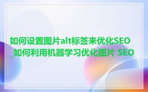 如何设置图片alt标签来优化SEO_如何利用机器学习优化图片 SEO