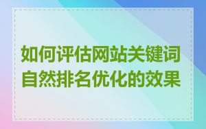 如何评估网站关键词自然排名优化的效果