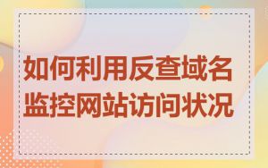 如何利用反查域名监控网站访问状况