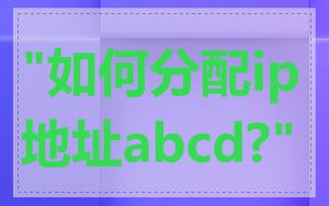 "如何分配ip地址abcd?"