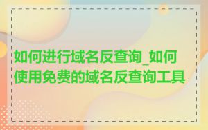 如何进行域名反查询_如何使用免费的域名反查询工具