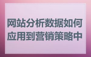 网站分析数据如何应用到营销策略中