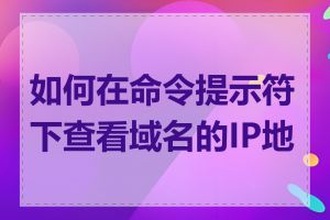 如何在命令提示符下查看域名的IP地址