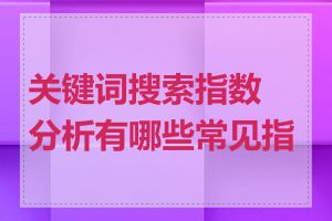 关键词搜索指数分析有哪些常见指标