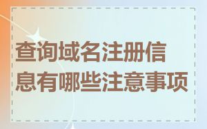 查询域名注册信息有哪些注意事项